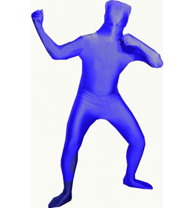 Costume mascotte bleue