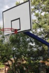 Outdoor basketball hoops