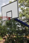 Outdoor basketball hoops