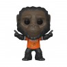 Mascot of the NBA's Suns