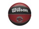 Ballon Team Tribute NBA Wilson des Toronto Raptors