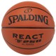 TF 250  composite basketball Spalding