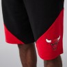 Chicago Bulls' Team panel shorts