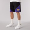 Los Angeles Lakers' Team panel shorts